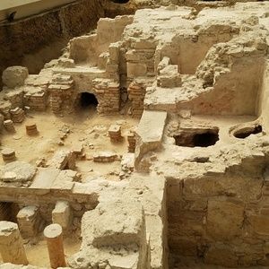 Meet your Posher, Albert